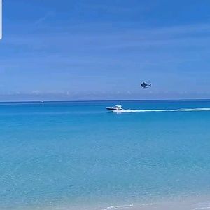 Meet your Posher, Paulita